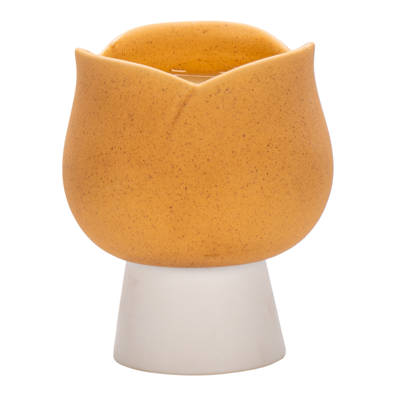 Europe Lovely Tulips Ceramic C - огляд і ціна Candle Supplies Europe